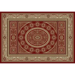 Merinos Aubusson Medallion Framed Rug